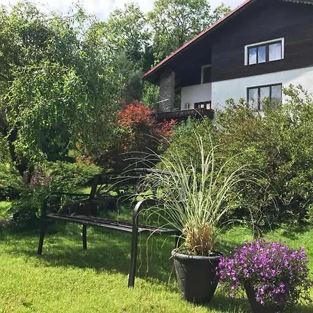 Sport Penzion, Zelezna Ruda Exterior photo